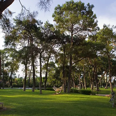 Asteria Resort